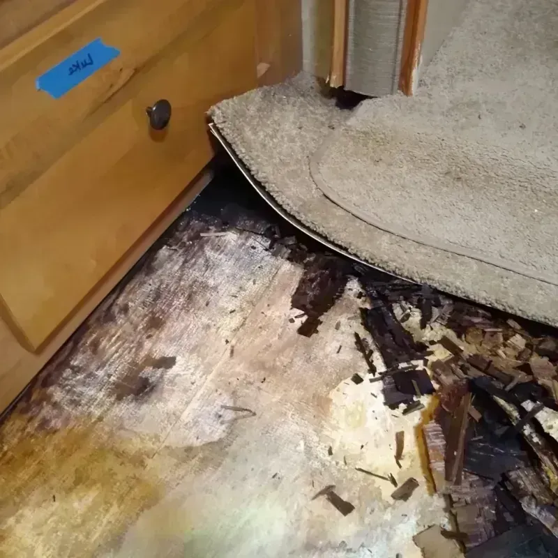 Wood Floor Water Damage in Bradley, WV